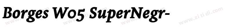Borges W05 SuperNegr字体转换 Borges W05 SuperNegr字体转换